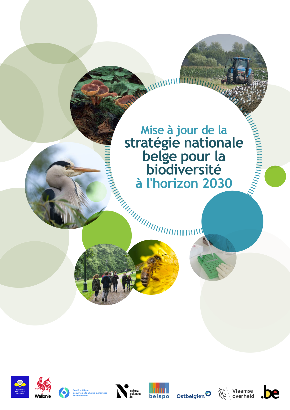 Sustainable finance and biodiversity: Belgium's 2030 strategy confirms the need for an evidence framework 