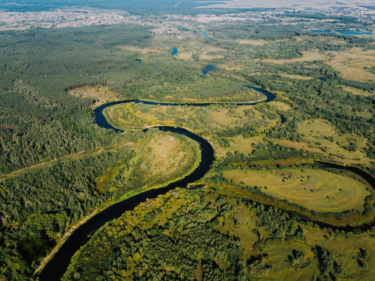 Pourquoi une biodiversity metric ne constitue pas une preuve environnementale ? 