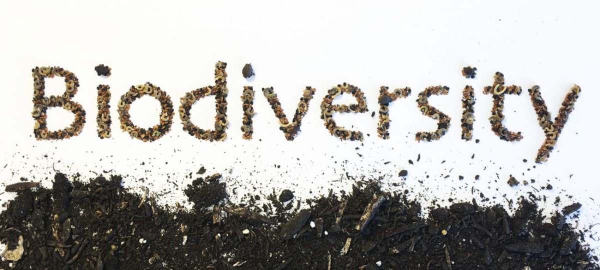 Vers une comptabilité écologique intégrée : mesurer la performance réelle du vivant 