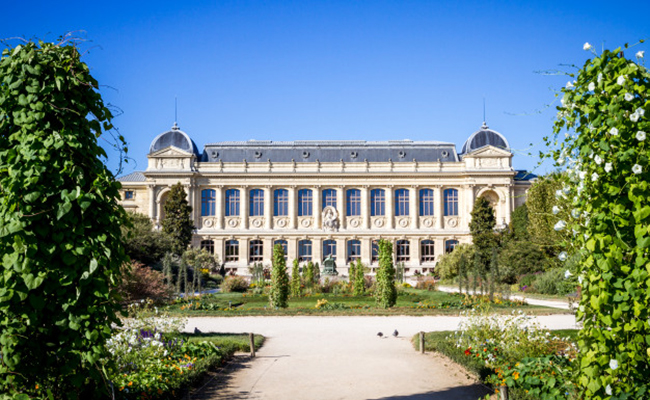  Le Muséum national d’Histoire naturelle cite Effinature : une reconnaissance institutionnelle de la rigueur écologique 