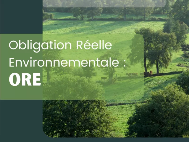 L’Obligation Réelle Environnementale : quand le droit devient un outil de biodiversité 